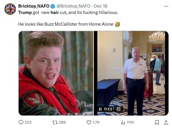 한 누리꾼이 사회관계망서비스(SNS)에 올린 게시글 갈무리. 영화 '나 홀로 집에'에 출연한 배우 버즈 맥콜리스터와 도널드 트럼프 미 대선 당선인의 머리 모양을 비교했다. 2024.12.20/ (출처 : @Bricktop_NAFO)