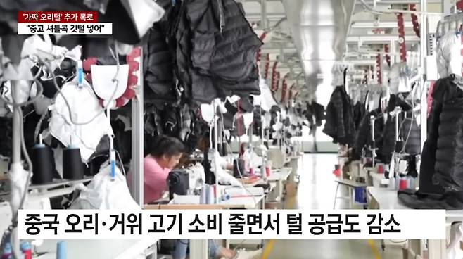 GOMCAM 20241220_0937030210.jpg 값싼 중국산 패딩 정체는 "중고 셔틀콕 갈아 넣어"