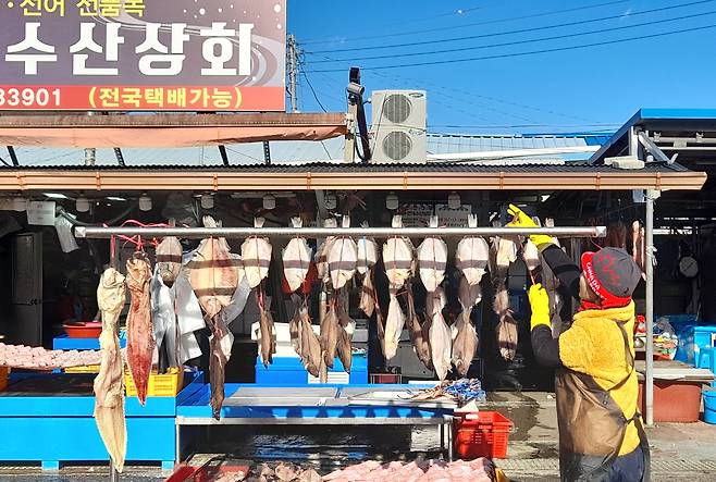 삼척역 앞 '번개시장'의 '번개수산상회' 주인 박금자씨가 생선을 널어 말리고 있다. 번개시장은 새벽시장으로 오전 11시쯤이면 파장한다. / 박근희 여행기자