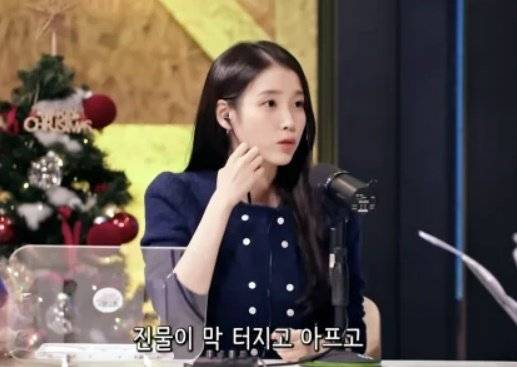 Singer and actor IU talks about her Skeeter syndrome during her appearance on the YouTube show “You in Radio” hosted by actor Yoo In-na on Thursday. [SCREEN CAPTURE]