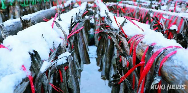 지난 21일 강원 인제군 북면 용대리 황태마을이 최근 내린 폭설로 하얗게 뒤덮여 겨울 풍경을 연출하고 있다.(인제군 제공)