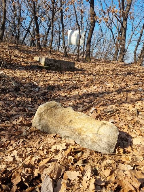 은평구 진관동 이말산의 묘지 흔적 이말산에는 내시와 궁녀들의 묘지가 집중돼 있다. [배한철 기자]