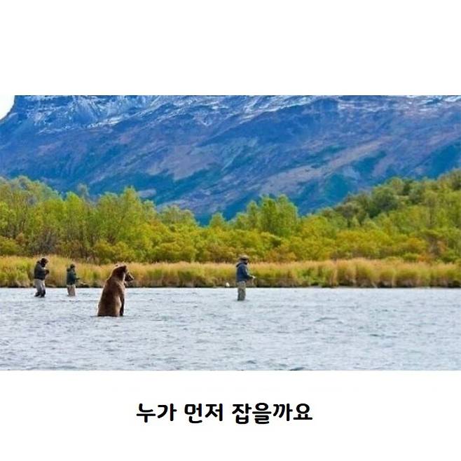 평화로운 연어철 알래스카.jpg