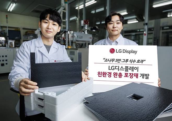LG디스플레이 직원이 재생 플라스틱 원료 기반 완충 포장재를 소개하고 있다. LG디스플레이 제공