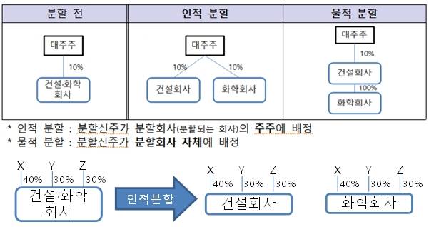 인적·물적분할 구조와 인적분할 구조도 /사진=금융위원회