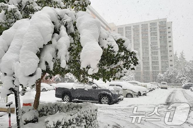 폭설이 내리는 27일 경기 수원의 한 아파트 단지에 눈이 쌓여 있다. 2024.11.27/뉴스1