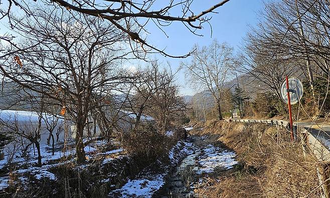 성남 판교 정보사 예하 부대 추정 시설로 가는 청계산 기슭. 연합뉴스