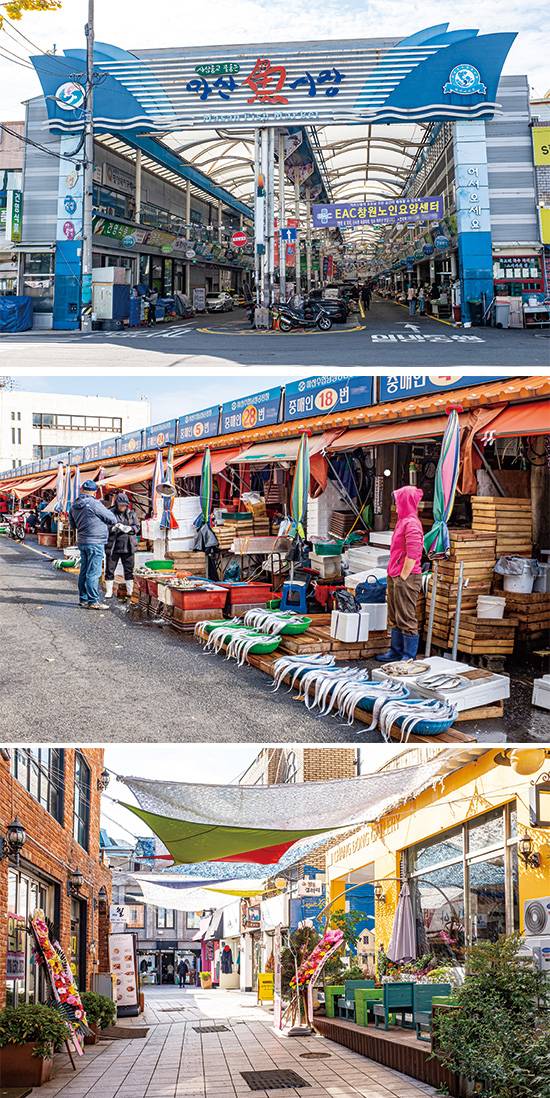(1번째 사진)마산 앞바다에서 잡은 해산물이 모이는 마산 어시장.  (2, 3번째 사진)창동 골목 곳곳에는 작은 공방과 전시장이 들어서 있다.