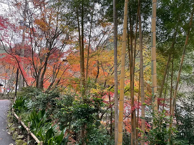 20ecef0fc8f507f73ced82fb01d4262d6399cf9845e7099eb17d8ef920