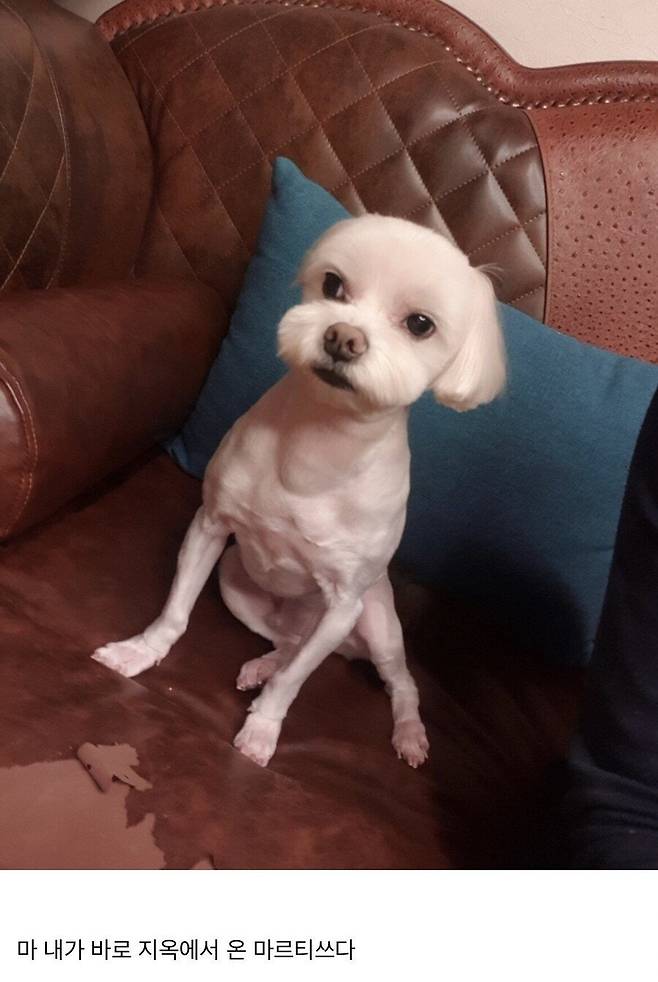 닭가슴살 먹고 벌크업한 후기 ㄷㄷ