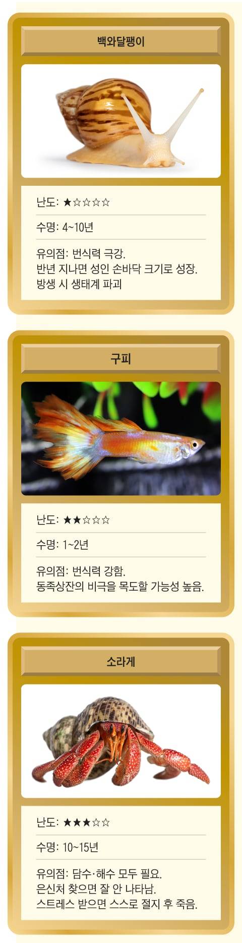 학교에서 준 달팽이가 알 수백 개를 낳았는데… 어떡하죠?