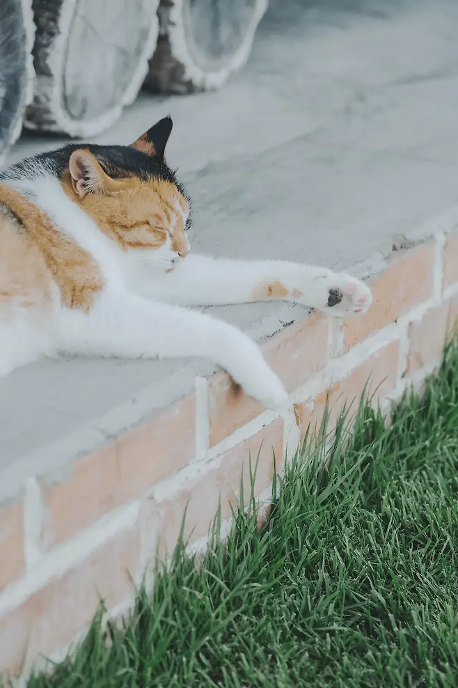 7a988870c18319f423eff493329c7019722a0221eb269ef478b28b7b3c83e4089e87996f83ad9ba52ce5247caca7302b022ceefe31