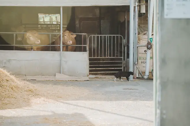 7c9b8473b1f668f4239c8590339c701c152c96523455d72140f09e5daf2806f92ed13a8a091b2d2262799bb321a80011727499715a