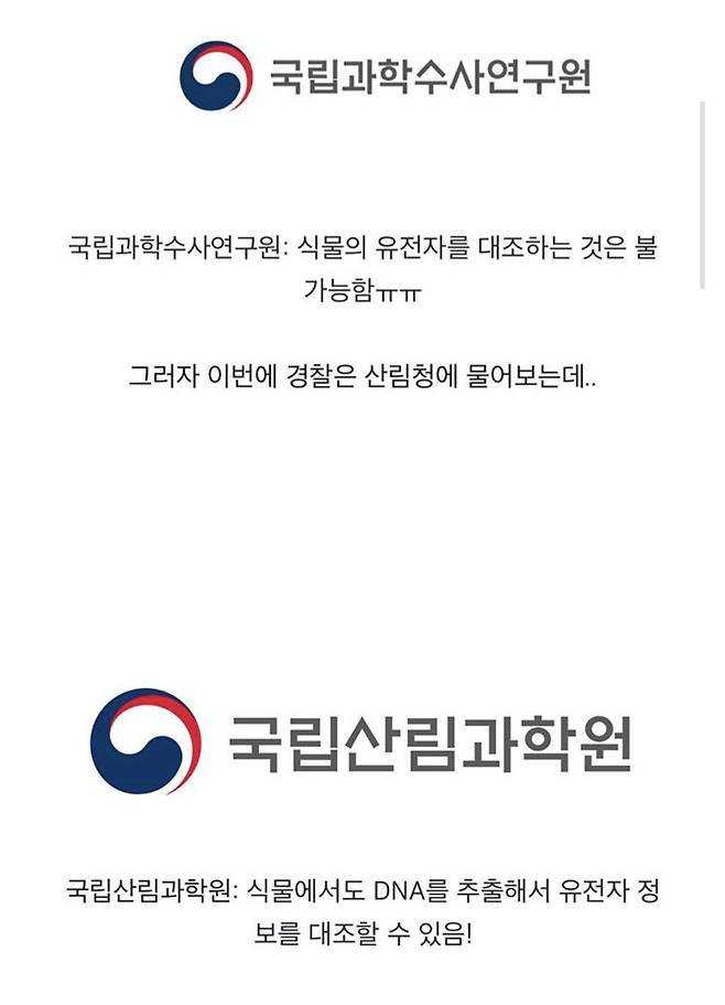 4.jpg 하룻밤새 사라진 3억짜리 소나무.jpg