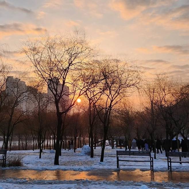 Sunrise view at Dream Forest (Gangbuk-gu office)