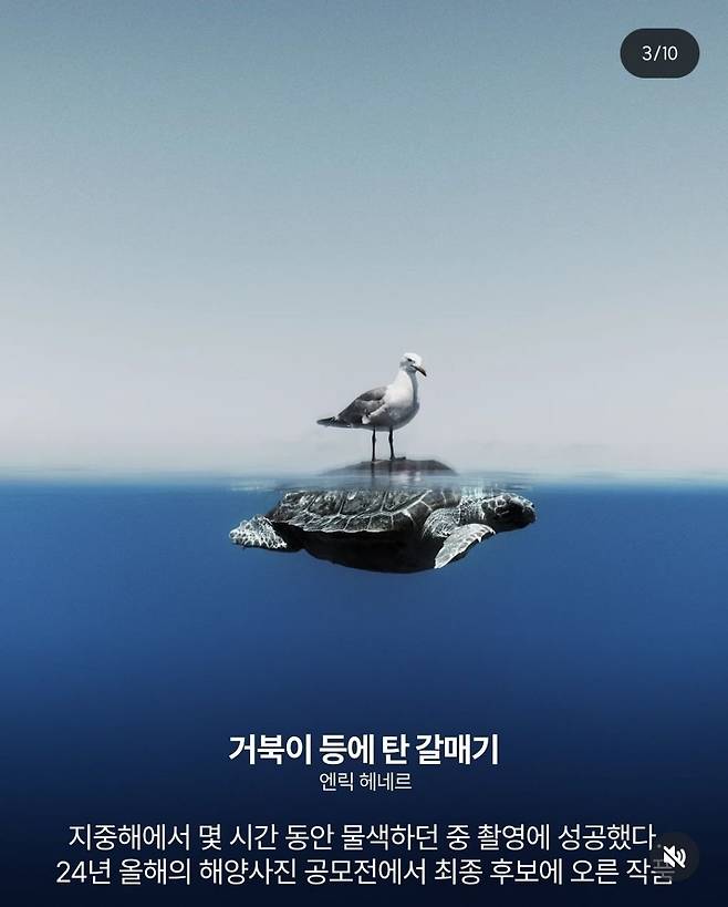 IMG_4556.jpeg 2024 네이처가 선정한 올해의 과학 사진