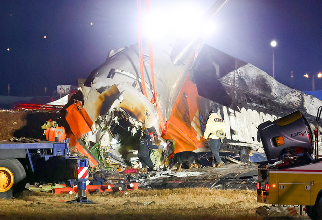 ▲ 29일 오후 전남 무안군 무안국제공항에서 발생한 제주항공 여객기 충돌 폭발 사고 현장에서 수색견을 동반한 파손된 기체 후미 수색 등 작업이 이어지고 있다. 연합뉴스