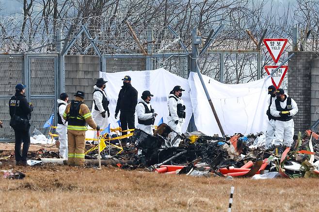 30일 오전 전남 무안군 무안국제공항 제주항공 여객기 충돌 폭발 사고 현장에서 과학수사대가 잔해를 살피고 있다. /연합뉴스
