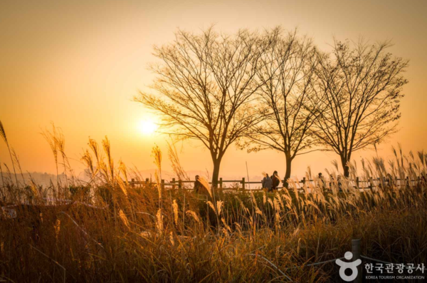 이미지 출처: 한국관광공사
