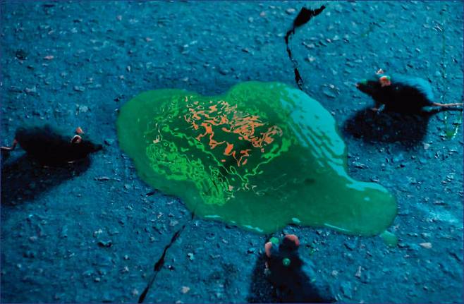 스트레이키즈의 ‘JJAM’ 뮤직비디오 인트로.