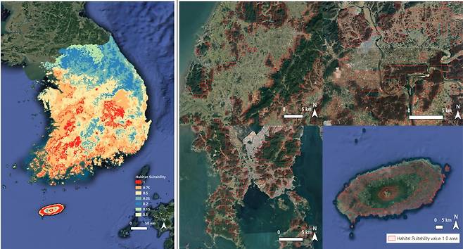 국립생태원 멸종위기종복원센터는 대만과 홍콩의 비바리뱀 출현 지점을 분석해 국내에서 비바리뱀의 잠재 서식지를 예측했다. 그 결과 제주도 중산간뿐만 아니라 남해안과 서해안 지역, 경북 내륙 일부 지역에도 비바리뱀이 서식할 가능성이 있는 것으로 나타났다./국립생태원