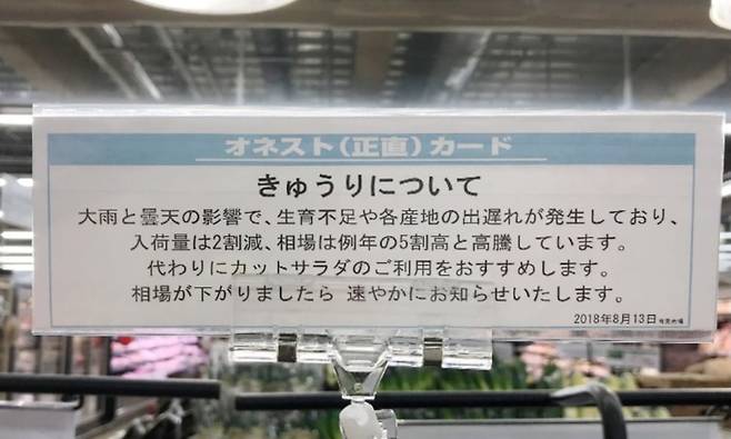 오케이 스토어의 어니스트(정직) 카드. 폭우의 영향으로 오이 입하량이 20% 감소했고, 시세도 예년보다 50% 급등했으니, 컷 샐러드 이용을 추천한다는 내용이다. 오케이는 고객에게 정확하고 정직하게 상품 정보를 알려준다고 강조한다. /오케이 홈페이지