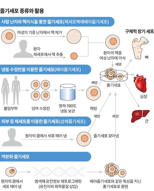 그래픽=이지원 기자