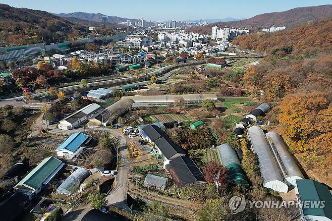 그린벨트 해제된 서울 서초 서리풀지구 (서울=연합뉴스) 류영석 기자 = 17일 오후 정부가 지난 5일 개발제한구역(그린벨트) 해제 후 서울시 신규 택지 후보지로 선정한 서초구 서리풀 지구(신원동) 일대 모습. 2024.11.17 ondol@yna.co.kr