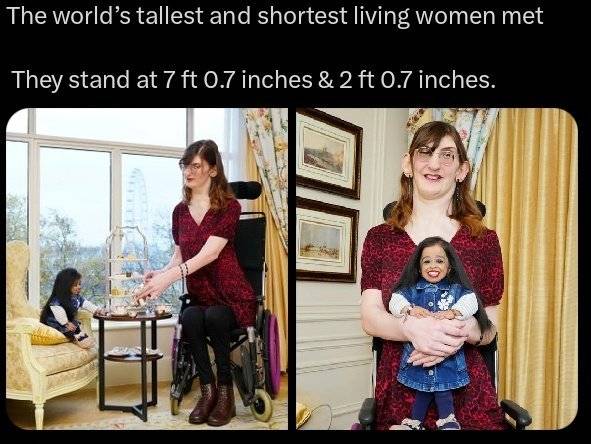 GgSYKaWWMAA72OX.jpg 세계에서 제일 키 큰 여성과 제일 작은 여성의 만남