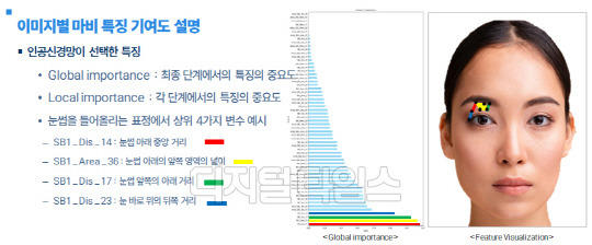 안면마비 자동진단 시스템에서 이미지별 마비 특징 기여도에 대한 설명. KIST 제공.