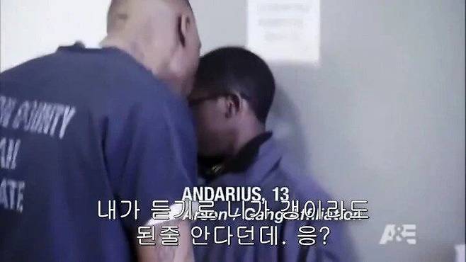 21.webp.ren.jpg 포텐 금쪽이 보니까 생각난 미국 비행청소년 교육법.JPG