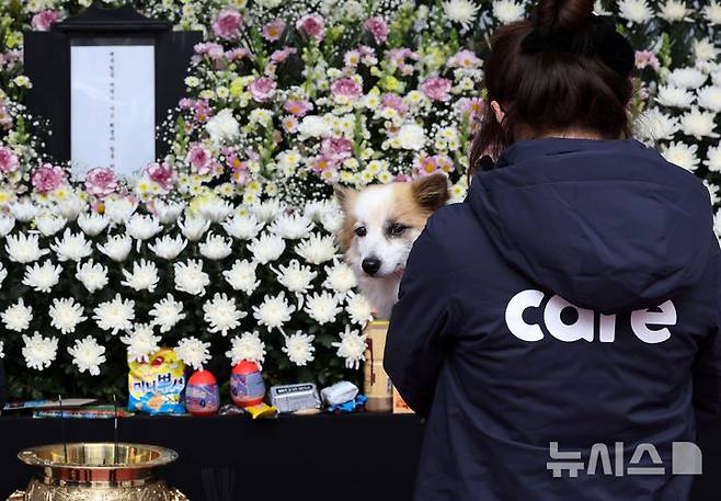 [서울=뉴시스] 홍효식 기자 = 무안국제공항 제주항공 여객기 참사로 주인을 잃은 반려견 푸딩이가 5일 서울시청 앞에 마련된 제주항공 여객기 사고 희생자 합동분향소를 방문하고 있다. 2025.01.05. yesphoto@newsis.com