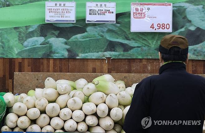 설날 앞두고 배추,무 가격 강세 (서울=연합뉴스) 류효림 기자 = 이달 말 설을 앞두고 일부 농산물 가격이 강세를 보이고 있다. 5일 한국농수산식품유통공사(aT)에 따르면 배추 평균 소매가격은 지난 3일 기준 한 포기에 5천27원으로 1년 전, 평년과 비교해 각각 58.9%, 33.9% 올랐다. 무는 한 개에 3천206원으로 1년 전보다 77.4% 비싸고 평년보다 52.7% 올랐다. 이날 서울 양재동 하나로마트에서 시민들이 채소를 고르고 있다. 2025.1.5 ryousanta@yna.co.kr