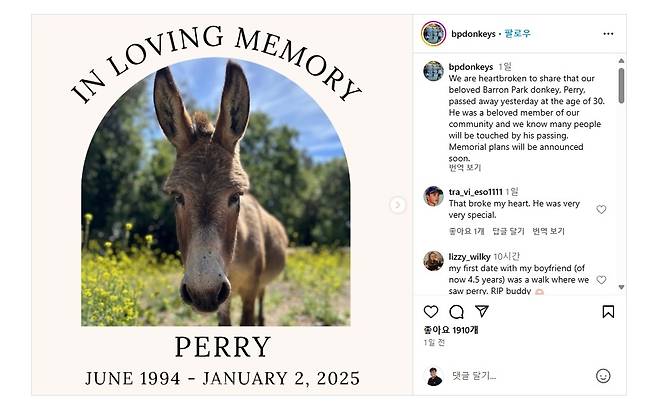 슈렉 '동키' 모델 된 당나귀 '페리' 30살로 숨져 (서울=연합뉴스) 2001년 개봉된 드림웍스 애니메이션 '슈렉'에 나오는 캐릭터 '동키'의 모델이 된 당나귀 '페리'가 2025년 1월 2일(현지시간) 숨졌다고 미국 캘리포니아주 팰로앨토 소재 비영리단체 '팰로앨토 휴메인 소사이어티'가 운영하는 '배런파크 동키 프로젝트'가 인스타그램을 통해 그 다음날 밝혔다. [배런파크 동키 프로젝트 인스타그램 캡처. DB 및 재판매 금지] 2025.1.5.