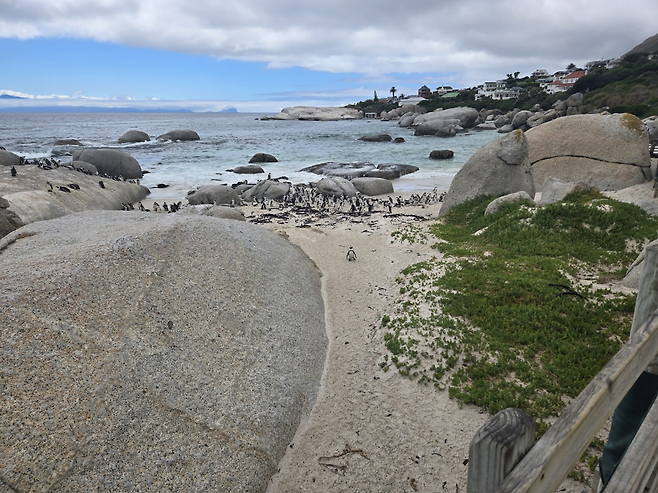 image.png 남아프리카 공화국 여행기!