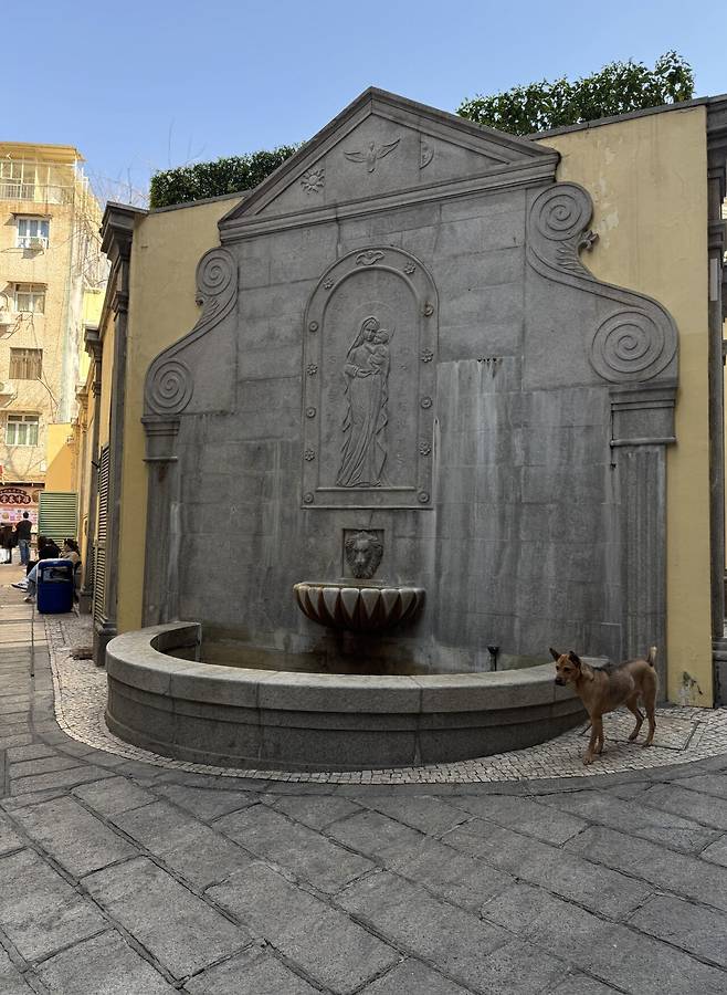 4박 5일 홍콩여행 다녀왔어요 (마카오 당일)