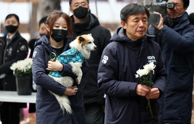 제주항공 여객기 참사로 주인을 잃은 반려견 푸딩이가 5일 오후 서울시청 본관 앞에 마련된 희생자 합동분향소를 방문하고 있다. 연합뉴스