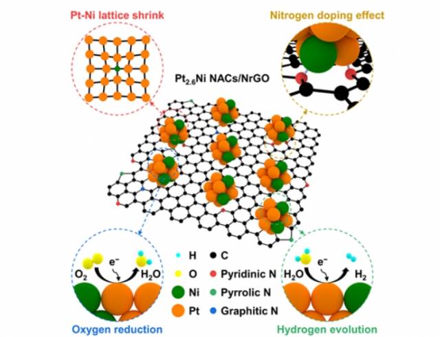 산소 환원과 수소 생산에 대한 합성된 촉매(Pt2.6Ni NACs/NrGO)의 모식도. 부산대 제공