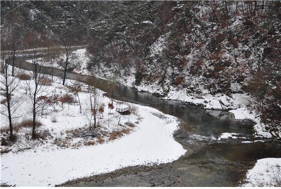 강원도 동강 / 사진 = 환경부