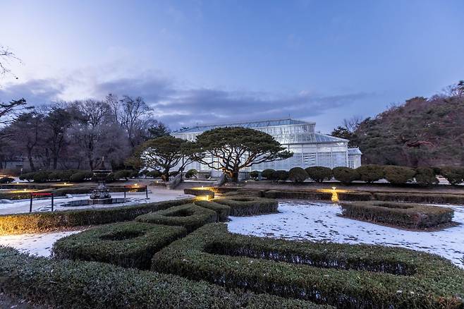 창경궁 대온실과 정원. 한국 최초의 서양식 온실로 1909년 11월에 개관했는데 당시 동양 최대 규모의 온실이었다 사진제공|서울관광재단