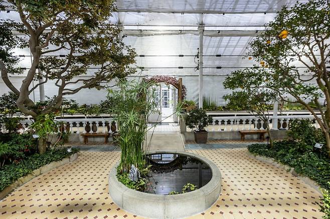 창경궁 대온실 입구 중앙 연못. 온실은 과거국내에서 보기 힘든 아열대 식물을 위주로 전시했으나 현재는 국내 자생식물 위주로 전시한다 사진제공|서울관광재단