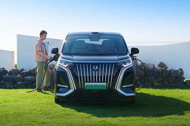 덴자 2025년형 D9