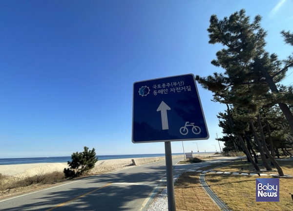 올덴리조트 울진점 앞 도로는 국토종주 동해안 자전거길이다. 소장섭 기자 ⓒ베이비뉴스