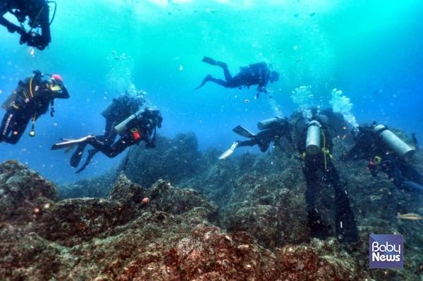 울진 바닷속에서 스킨스쿠버 체험을 진행하고 있는 모습. ⓒ씨스타 스쿠버 캠프