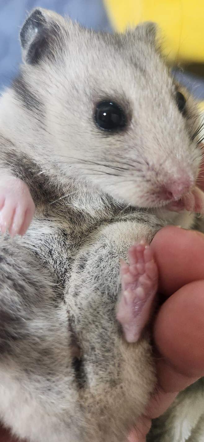 3fb8c32fffd711ab6fb8d38a4683746f7bca96c68c5f5bc57bf155072f76074ca0fe5ab26e5056f2e31360a8c2