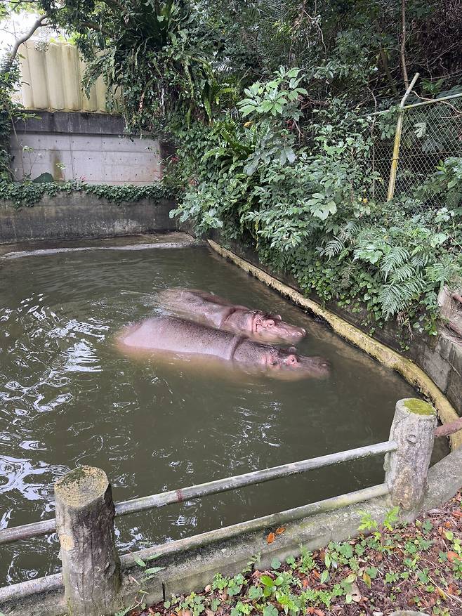 IMG_8200.jpeg 태교여행 오키나와 4박5일 음식 간단리뷰