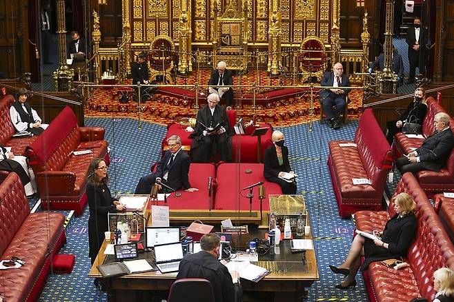 “양털이 얼마나 푹신한지, 바디프렌드 저리 가라네.” 영국 상원에서는 여전히 양모로 제작된 빨간 의자를 사용한다. 700년이 넘은 전통이다. [사진출처=ukhouseoflords - Baroness Evans of Bowes Park]