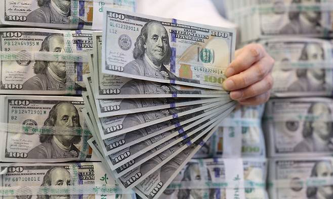 서울 중구 하나은행 위변조대응센터에서 직원이 달러를 정리하고 있다. 뉴시스