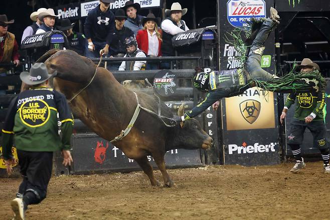 5일 뉴욕 매디슨 스퀘어 가든에서 열린 2025 프로페셔널 불스 라이딩 '언리쉬 더 비스트' 종목에서 미국의 딜런 스웨어링이 황소 위스키 트립을 타고 있다./AFP 연합뉴스