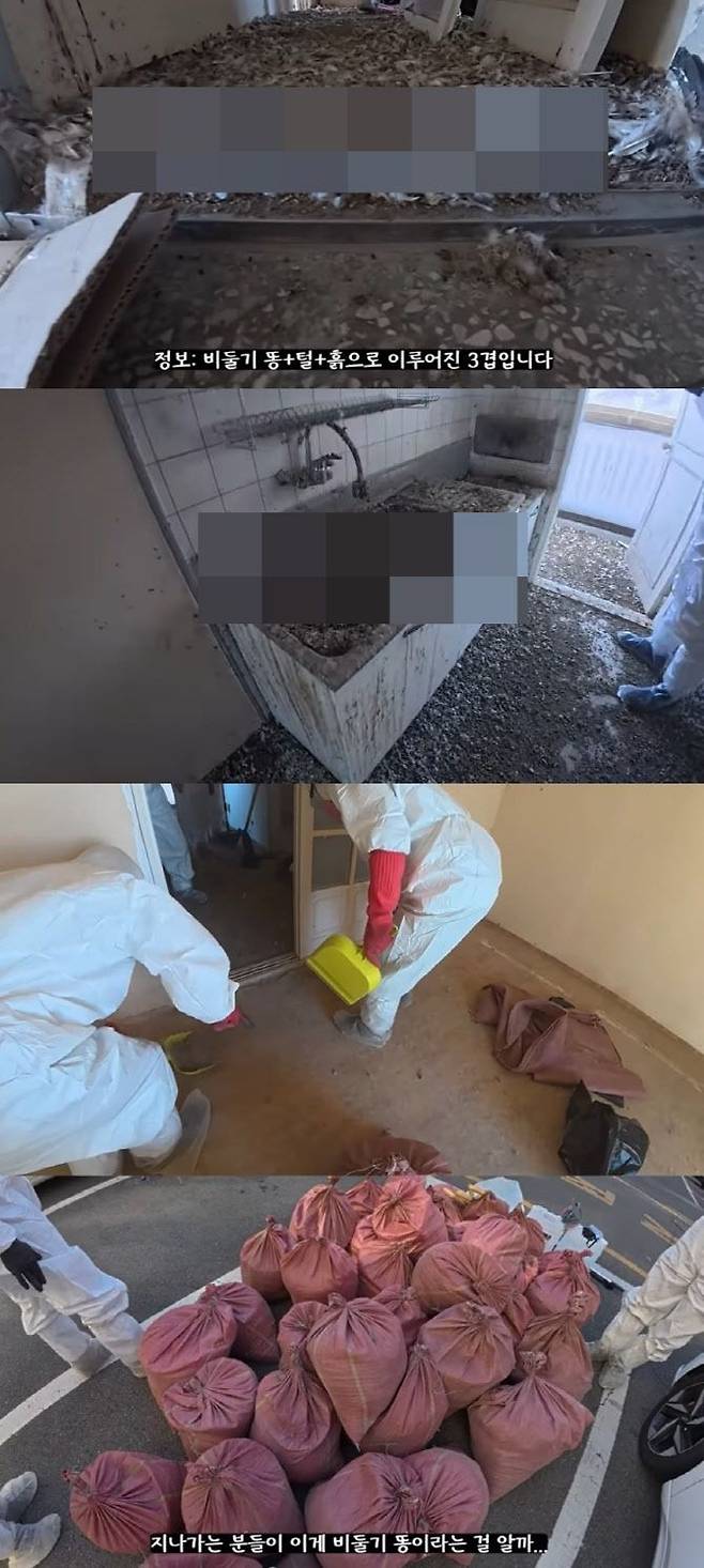 Internet_20250108_083409_3.jpeg 비둘기떼가 2년간 장악한 아파트 상황 “대한민국 역대급 청소”